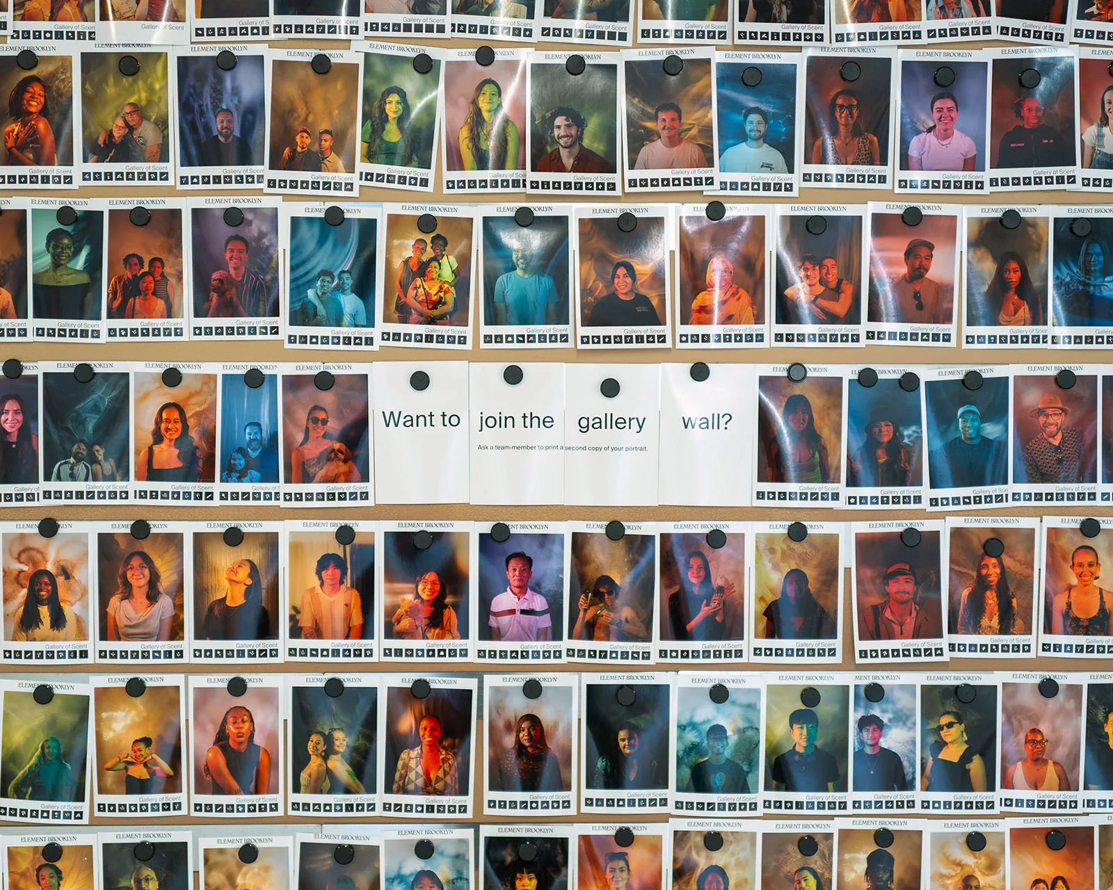 A wall of printed Scent Portrait photographs