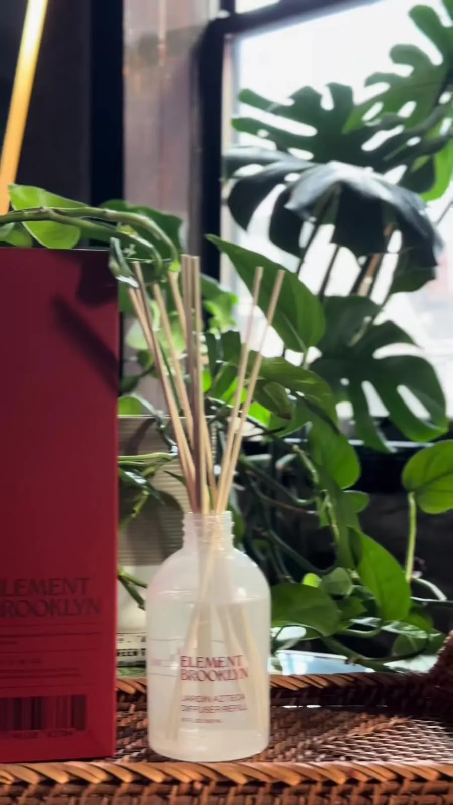 Jardín Azteca Diffuser – Element Brooklyn